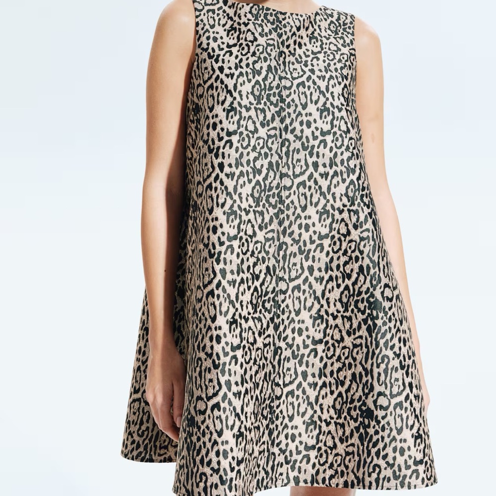 H&M Leopard Print Mini Dress